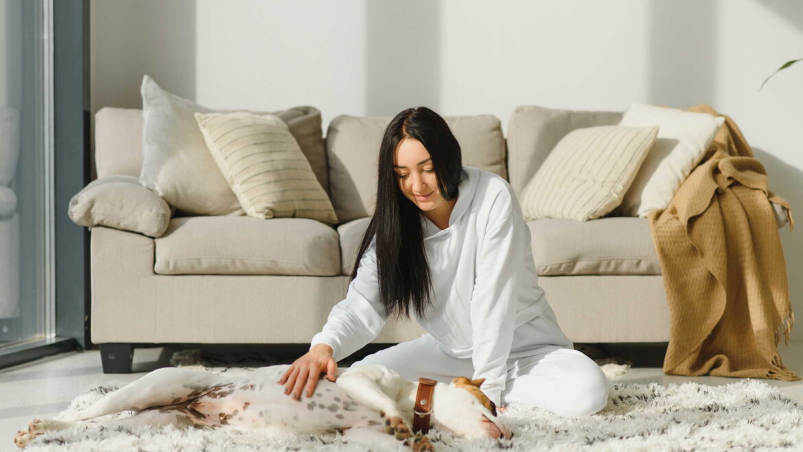 Area Rugs